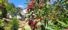 Casa do Poço